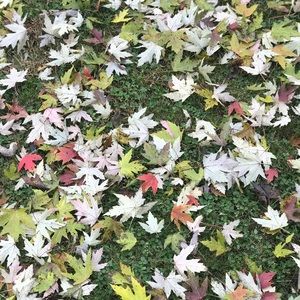 Meet your Posher, Karlee